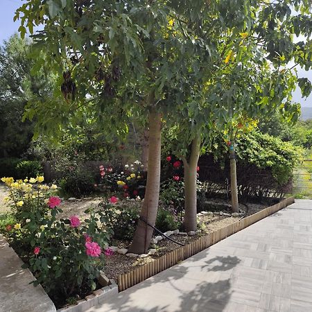 Roses Villa Trimiklini Esterno foto