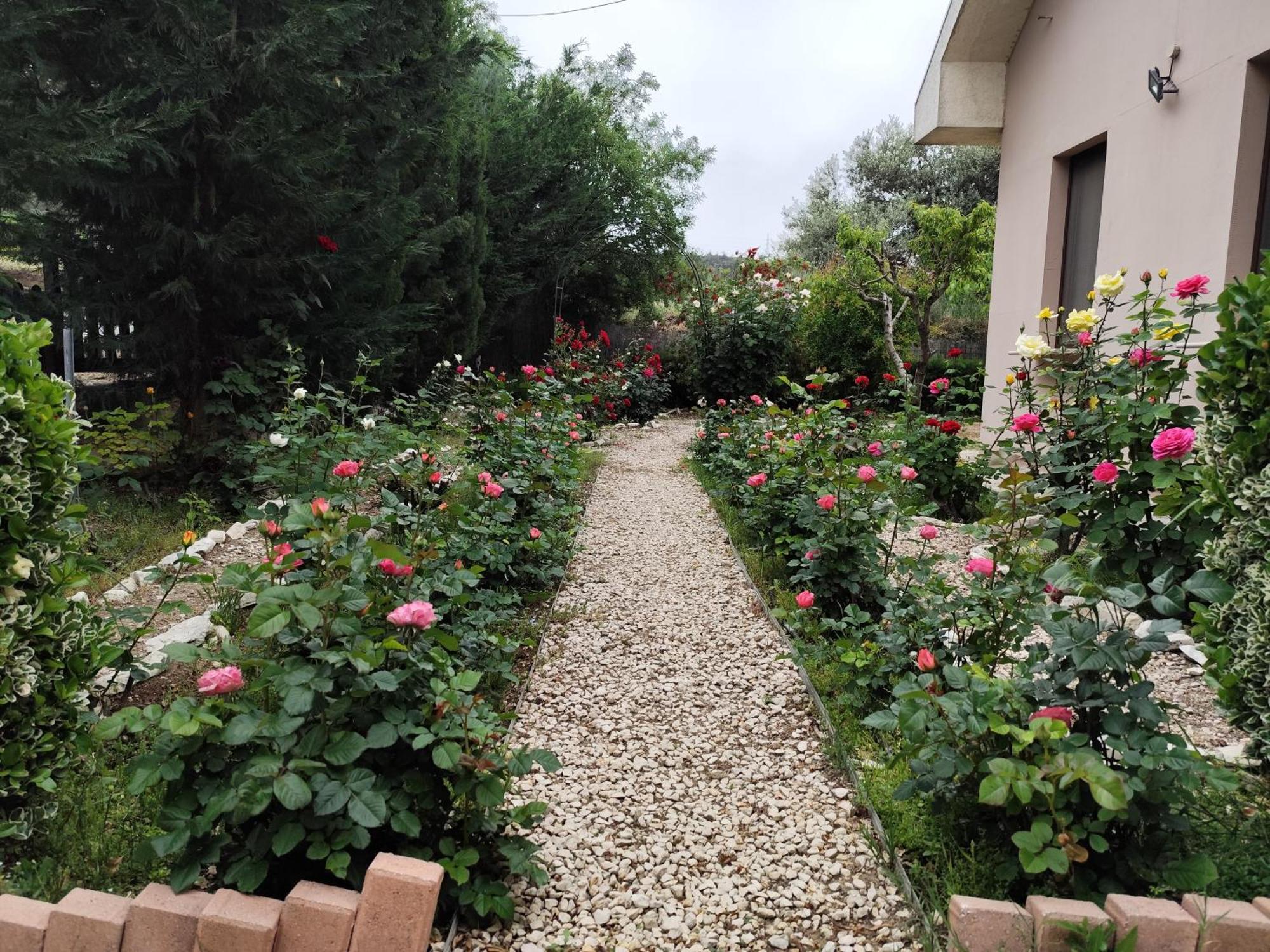 Roses Villa Trimiklini Esterno foto